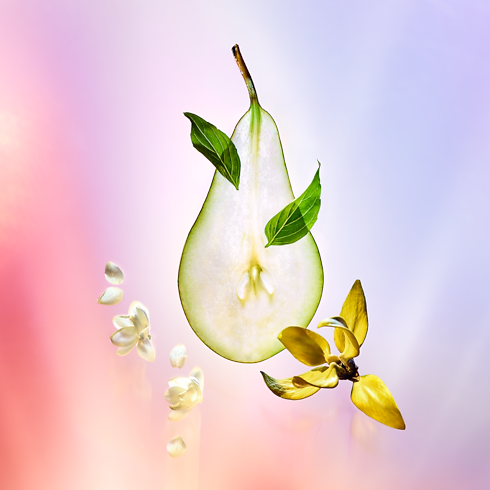 Colecciones Viajes Vaporizador de viaje Coeur Battant | Louis Vuitton ® (Ampliar producto)