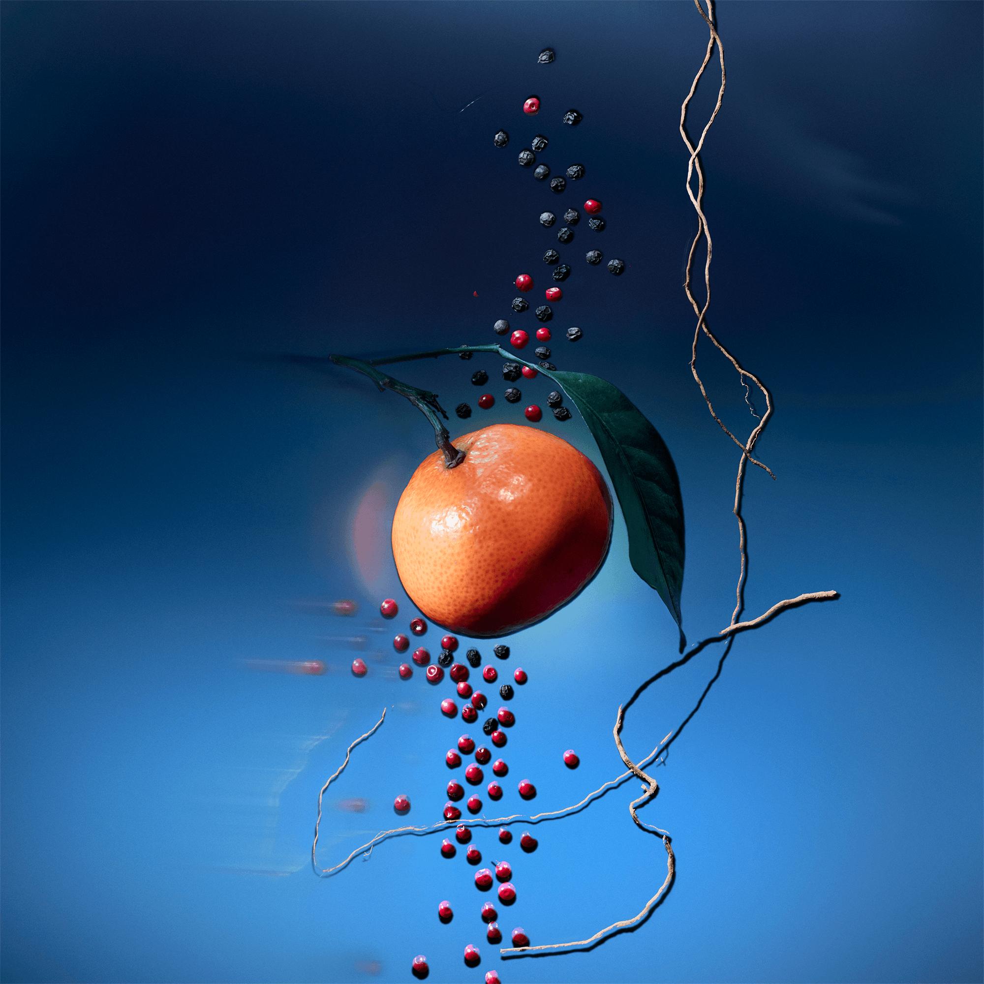  Colecciones Perfumes de hombre Vaporizador de viaje Météore | Louis Vuitton ® (Ampliar producto)