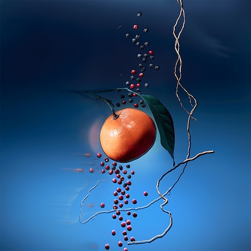 Colecciones Perfumes de hombre Vaporizador de viaje Météore | Louis Vuitton ® (Ampliar producto)